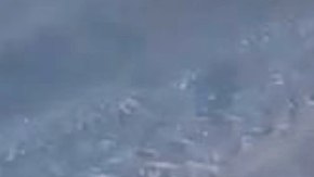 Una conductora de autobús mantiene una rutina especial de lunes a viernes, realizando una parada para alimentar a un perro callejero.