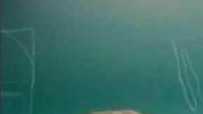 La clase se salió de control, al menos en las redes.