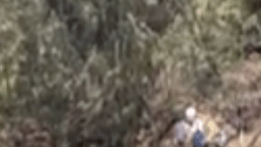 Mensaje de ayuda escrito por una pareja perdida en una isla.