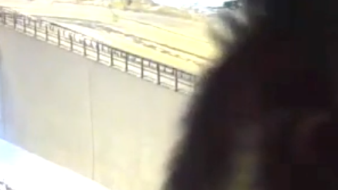 Un búho mira a cámara directamente, obstruyendo las grabaciones de la agencia de transportes de Finlandia.