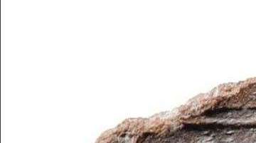 En el sello se puede leer el nombre de un profeta bíblico.