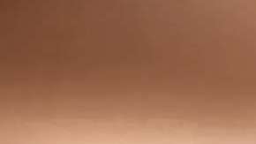 La trabajadora también le llamó a la policía, acusando a los clientes de "perturbar la paz".