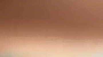 La trabajadora también le llamó a la policía, acusando a los clientes de "perturbar la paz".