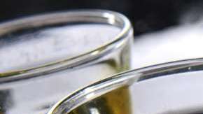 Celebra el Cinco de Mayo con un traguito de tequila, ¡pero bebe con responsabilidad!