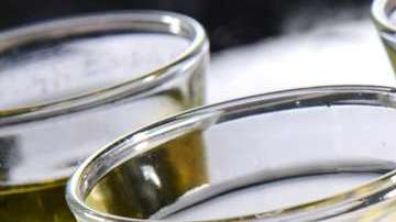 Celebra el Cinco de Mayo con un traguito de tequila, ¡pero bebe con responsabilidad!