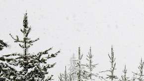 Conducir en la nieve ya es de por sí complicado.