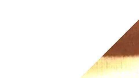 Foto del sospechoso suministrada por el NYPD.