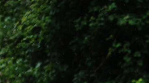 Hay despedidas muy poco amables y ésta.