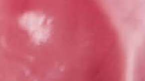 Emily ha creado tendencia con su sensualidad y un provocativo estilo.