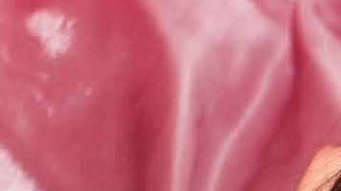 Emily ha creado tendencia con su sensualidad y un provocativo estilo.