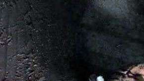 Alguien decidió dejar en la calle al tigre de peluche.