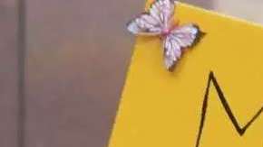 Rechazó otras propuestas migratorias que también legalizaban a los Dreamers a cambio del fortalecimiento de la seguridad fronteriza.