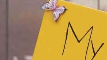 Rechazó otras propuestas migratorias que también legalizaban a los Dreamers a cambio del fortalecimiento de la seguridad fronteriza.