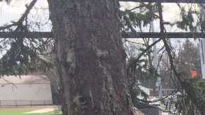 Muchas personas se congregaron afuera del liceo a la espera de noticias