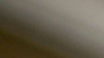 Si la vacuna no estimula ciertas células, el paciente es vulnerable al virus gripal.