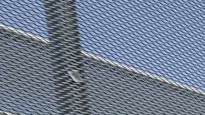 Los indocumentados son obligados a trabajar largas horas por cerca de 1 dólar el día