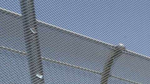 Los indocumentados son obligados a trabajar largas horas por cerca de 1 dólar el día