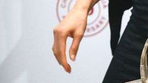 La cartera Birkin Himalaya de 2014, terminada en detalles de oro blanco y diamantes, alcanzó un precio récord en subasta