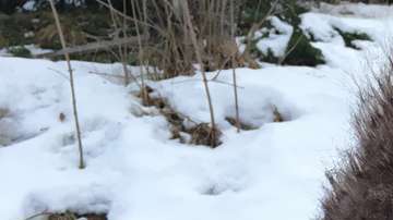 Nina Iversen fue una víctima de abuso. Trató de hablar durante años, pero nadie la escuchó. Hasta ahora.