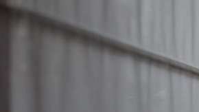 100538948_1920-pc_l3145-10-mr