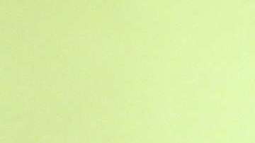 Manuel el 'Loco' Valdés.