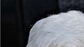 ¿Qué deberían tener en cuenta los hombres antes de comprar y probar la Viagra? Getty Images