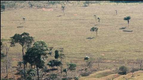 Los geoglifos son figuras geométricas talladas en la tierra. Foto: Universidad de Exeter.