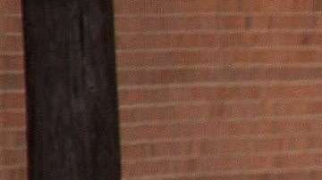 Se desconoce si hay conexión entre las distintas explosiones