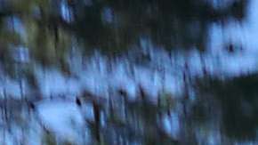 Se oscurece el panorama para la comunidad inmigrante en esta ciudad de Orange County