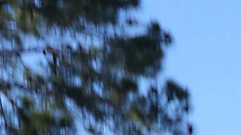 Se oscurece el panorama para la comunidad inmigrante en esta ciudad de Orange County