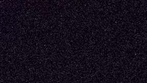 Las redadas se llevaron a cabo en Miami, Florida