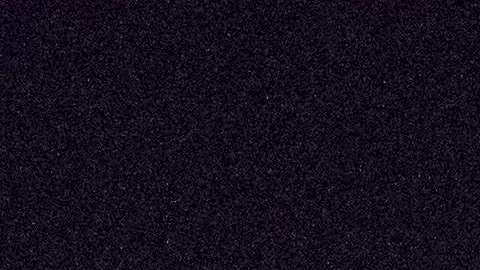 Las redadas se llevaron a cabo en Miami, Florida