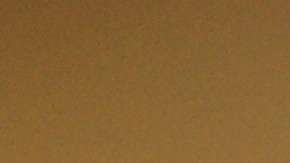 Conferencia de prensa con representantes del Barrio de La Misión y familiares y amigos de Jesús Adolfo Delgado Duarte. El profesor Frank Lara se dirige a los presentes. (Fernando A. Torres / La Opinión de la Bahía)