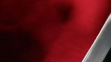 La selección mexicana irá a Rusia con un segundo uniforme cuestionado.