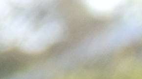 La alcaldesa de Oakland prendió el debate nacional tras hacerlo