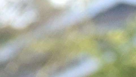 La alcaldesa de Oakland prendió el debate nacional tras hacerlo