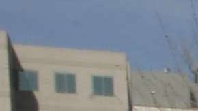 Los Dreamers los grandes perdedores