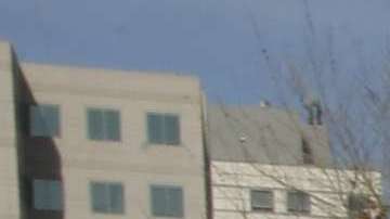 Los Dreamers los grandes perdedores