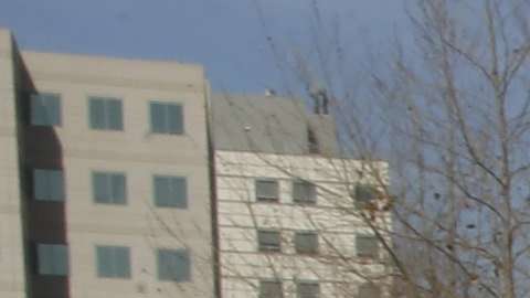 Los Dreamers los grandes perdedores