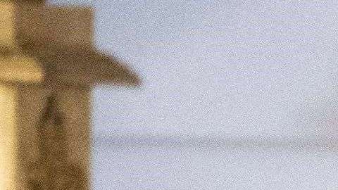 Abogados migratorios indican que las políticas de Trump afectan a universidades.