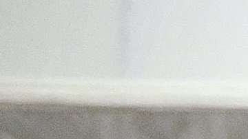 La primera dama Melania Trump obtuvo una visa EB-1.