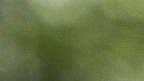 La popularidad del presidente Trump sigue en aumento.