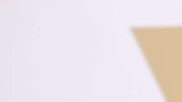 Guillermo del Toro ganó como el Oscar como "Mejor Director".