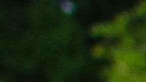 Hay que buscar cosas que les gusten a los niños.