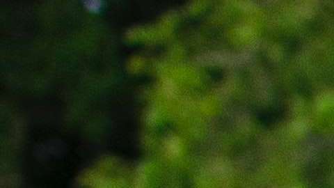 Hay que buscar cosas que les gusten a los niños.