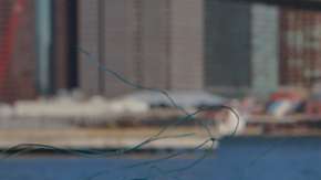 La limpieza de los océanos es necesaria para asegurar la preservación de muchas especies marinas y adidas está contribuyendo al reciclaje de los plásticos.