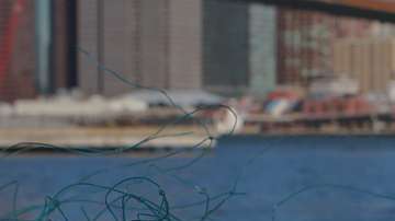 La limpieza de los océanos es necesaria para asegurar la preservación de muchas especies marinas y adidas está contribuyendo al reciclaje de los plásticos.