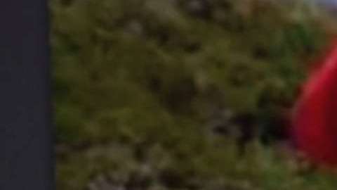 Alejandro Abarca pidió asilo en EEUU, pero se lo negaron.