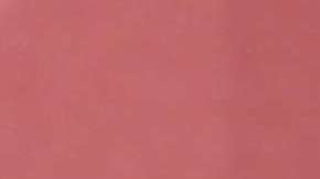 Alicia Machado llora al hablar de lo que se ha convertido el Miss Venezuela