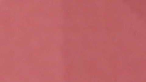 Alicia Machado llora al hablar de lo que se ha convertido el Miss Venezuela